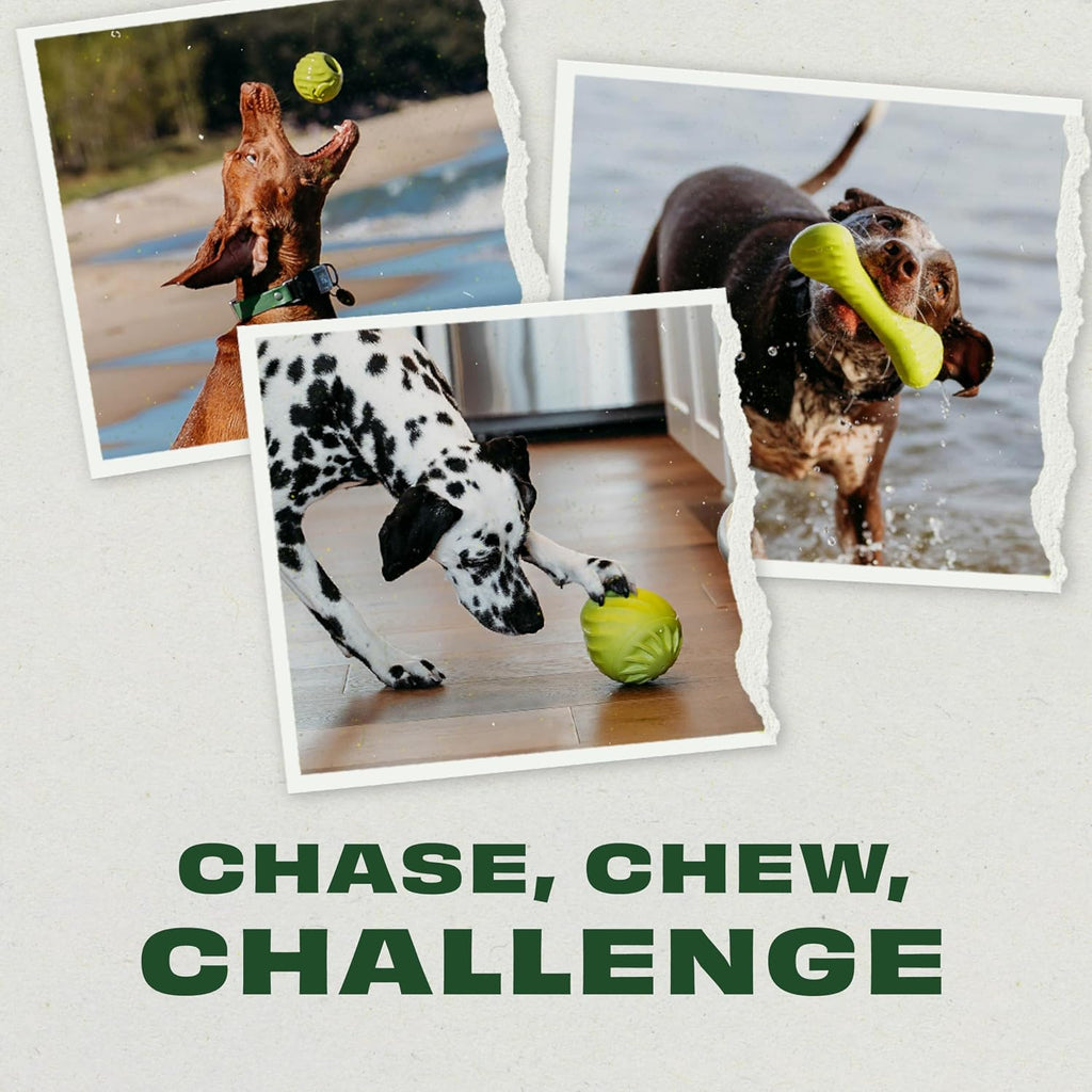 Ball/Bone Medium/Pawbler Rubber Pet Toys, 3-Pack