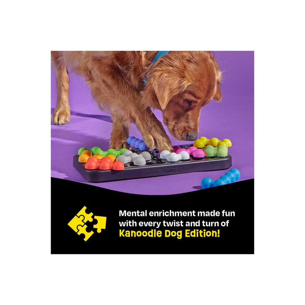 Kanoodle Dog Edition Large, Interactive Dog Toys, Dog Puzzle Toy, Enrichment Toy for Dogs, Dog Slow Feeder