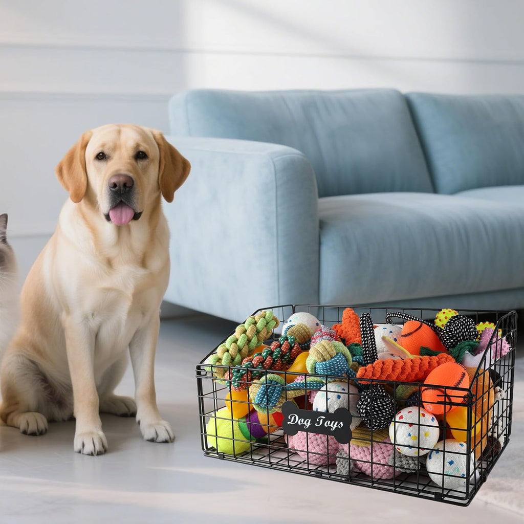 2 Pcs Dog Toy Basket Medium,Pet Storage Toys Box Metal Organizer Bin Dogs Wire Rack Container for Pet Food Storage Living Room Bins Plastic Supplies Boxes Puppy Cat Chest Organizers Treat Cabinet