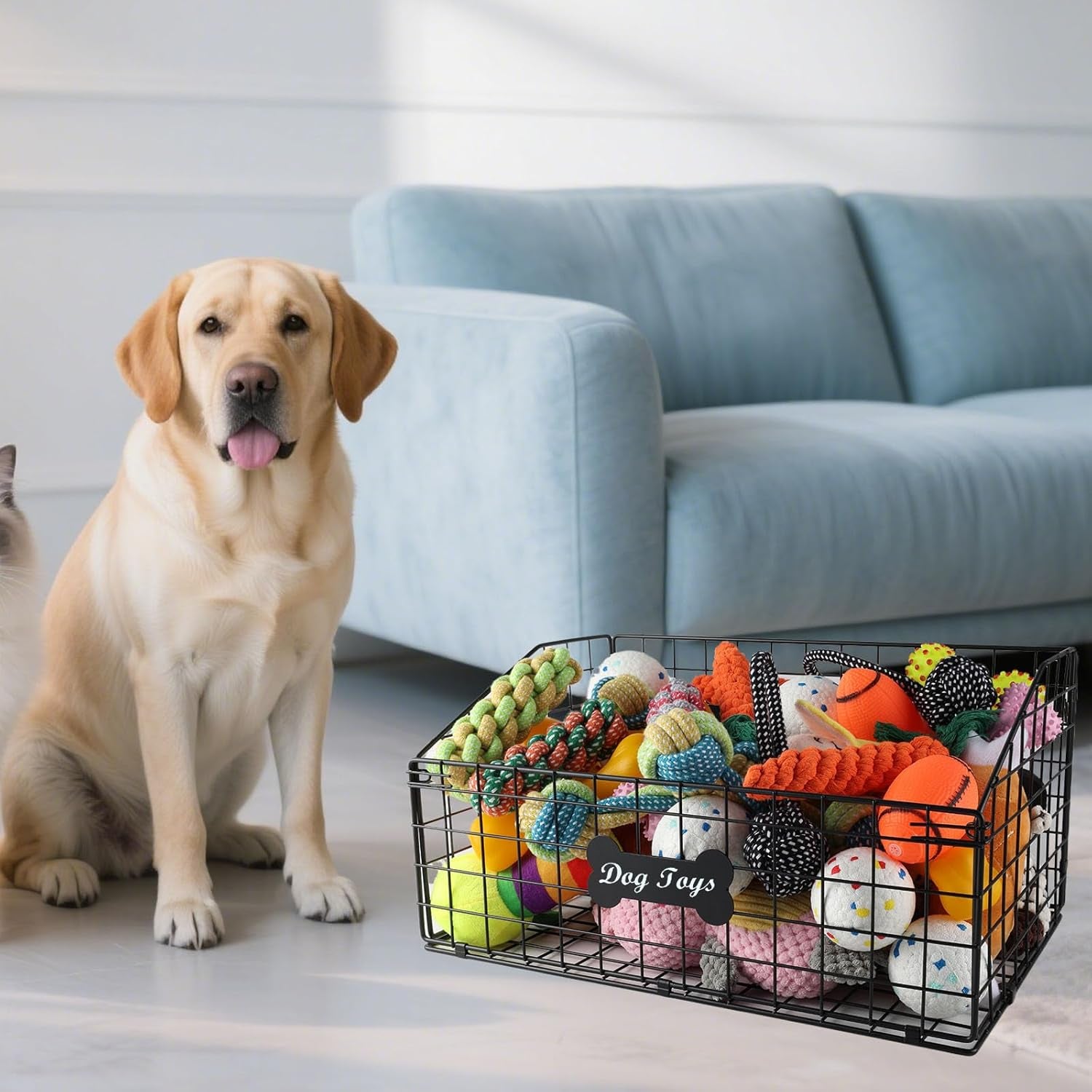 2 Pcs Dog Toy Basket Medium,Pet Storage Toys Box Metal Organizer Bin Dogs Wire Rack Container for Pet Food Storage Living Room Bins Plastic Supplies Boxes Puppy Cat Chest Organizers Treat Cabinet