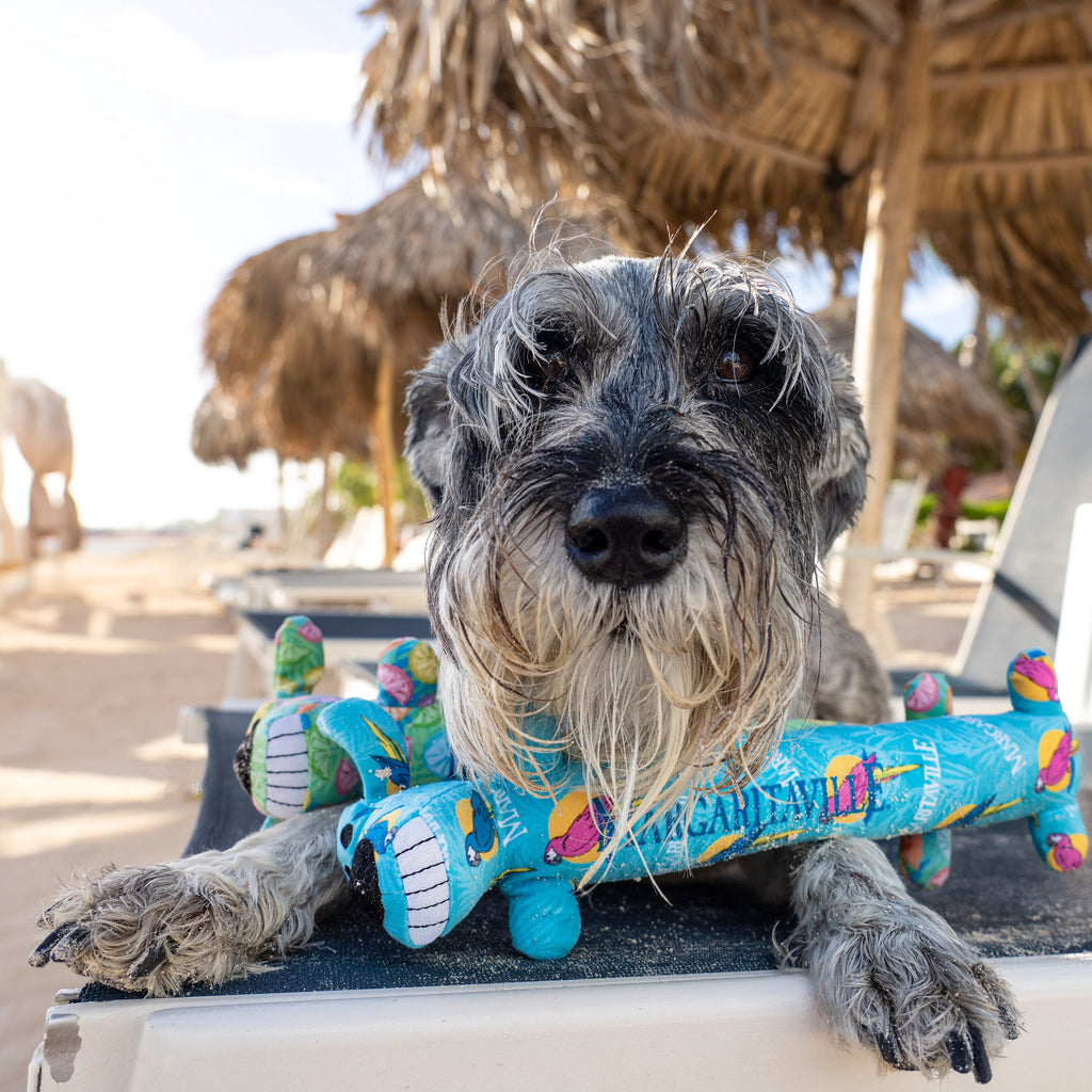 Margaritaville Summer Loofa Dog, Plush Dog Toy, 2 Pack with Tropical Patterns