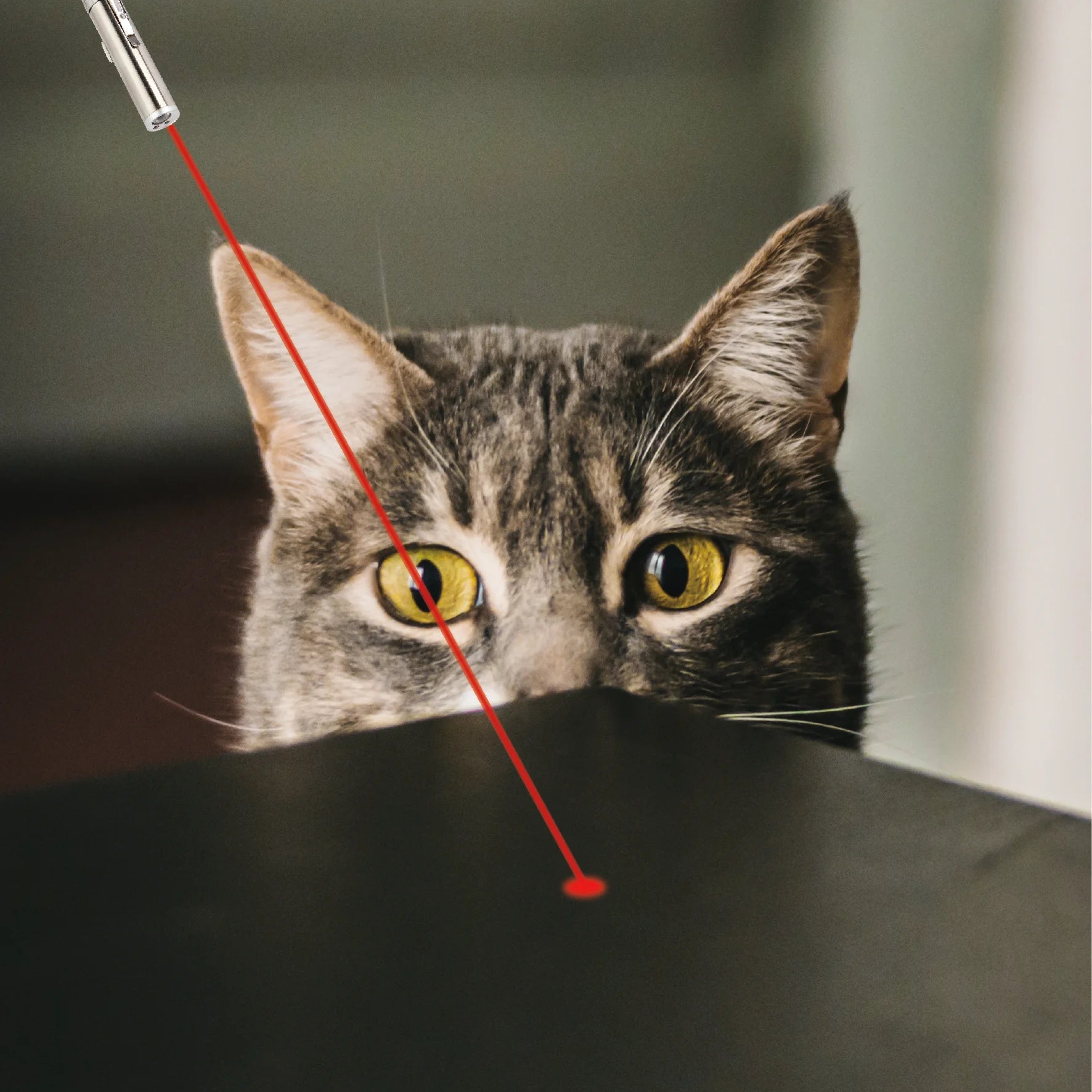 Cat Toys for Indoor Cats, 2 Pieces, Rechargeable, Interactive Kitten Pet Dog Red Dot Chase Light Toy for Cats Fun Playing Exercise