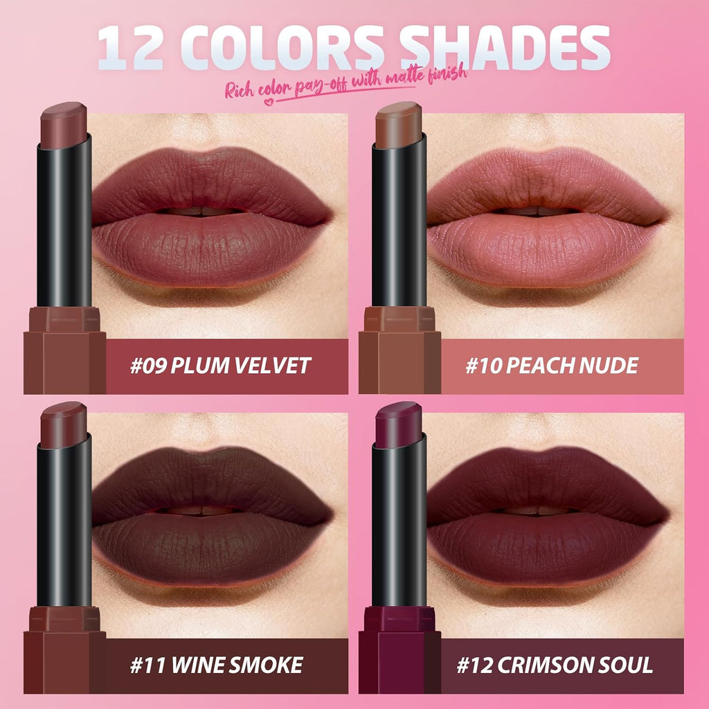 10Pcs Velvet Matte Lipstick Nude Matte Soft Dark Color Stick High Pigmented Long-Lasting Waterproof Lip Stick Lip Balm Beauty Cosmetics Gift for Women(Curated 10-Shade Set)