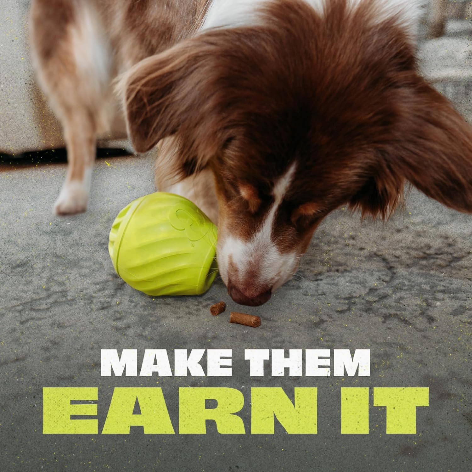 Ball/Bone Medium/Pawbler Rubber Pet Toys, 3-Pack
