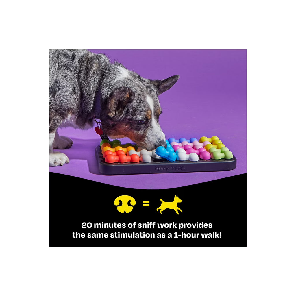 Kanoodle Dog Edition Large, Interactive Dog Toys, Dog Puzzle Toy, Enrichment Toy for Dogs, Dog Slow Feeder