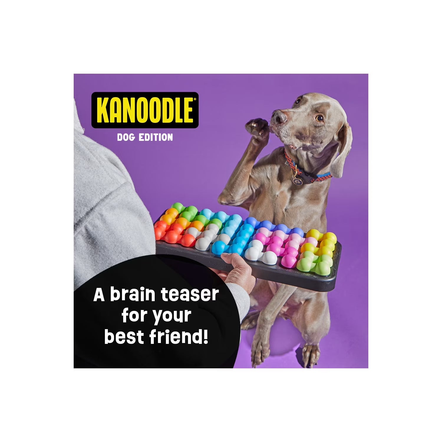 Kanoodle Dog Edition Large, Interactive Dog Toys, Dog Puzzle Toy, Enrichment Toy for Dogs, Dog Slow Feeder