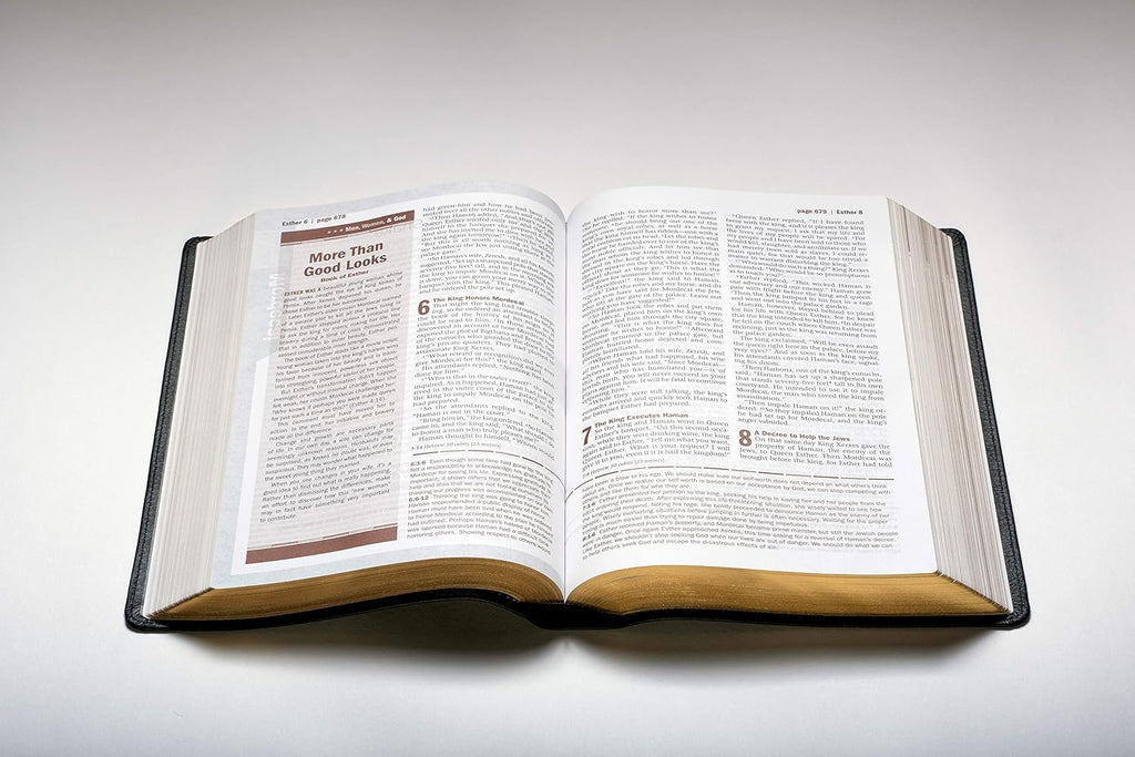 Every Man'S Bible: New Living Translation, Deluxe Explorer Edition (Leatherlike, Brown) – Study Bible for Men with Study Notes, Book Introductions, and 44 Charts