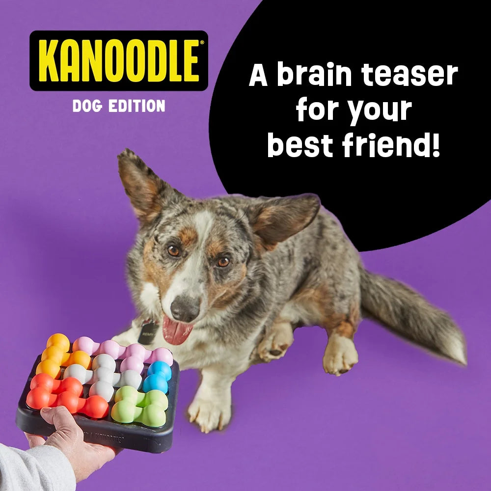 Kanoodle Dog Edition Small, Interactive Dog Toys, Dog Puzzle Toy, Enrichment Toy for Dogs, Dog Slow Feeder
