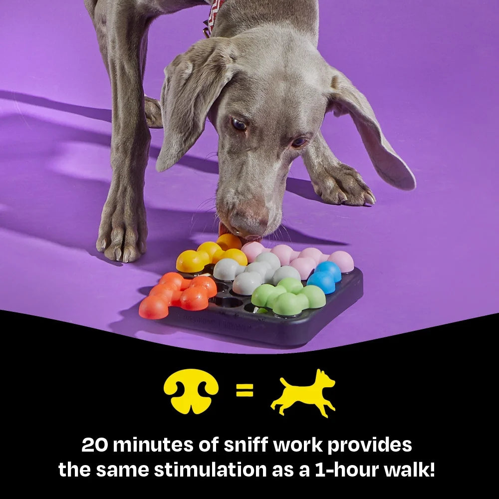 Kanoodle Dog Edition Small, Interactive Dog Toys, Dog Puzzle Toy, Enrichment Toy for Dogs, Dog Slow Feeder